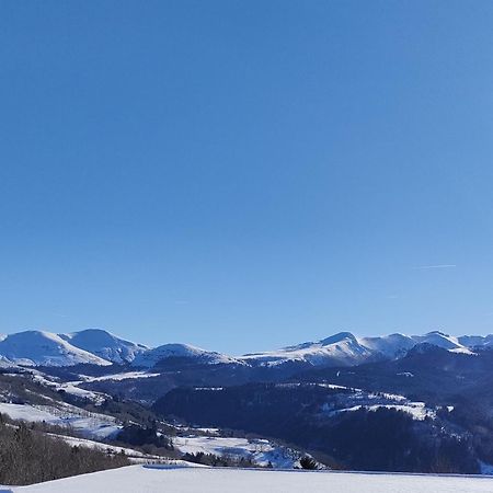 Grand Appartement Vue Magnifique Murat-le-Quaire Eksteriør billede