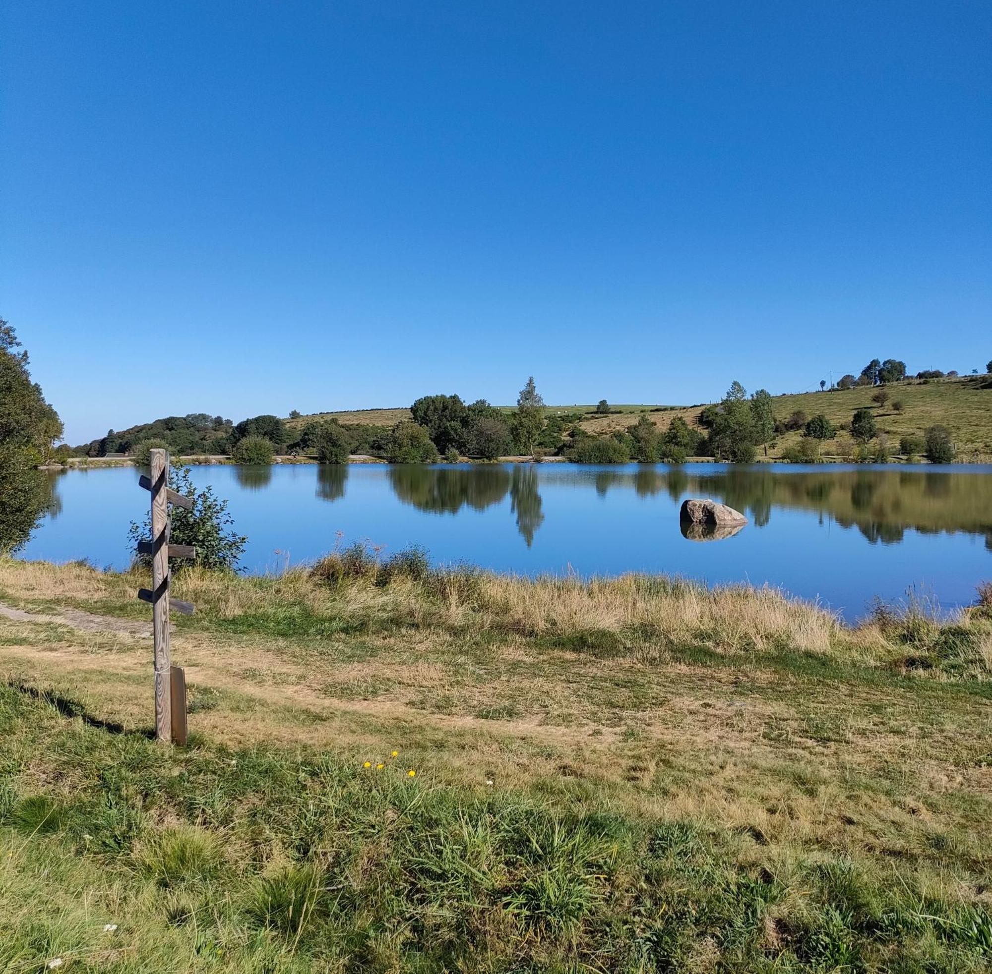 Grand Appartement Vue Magnifique Murat-le-Quaire Eksteriør billede